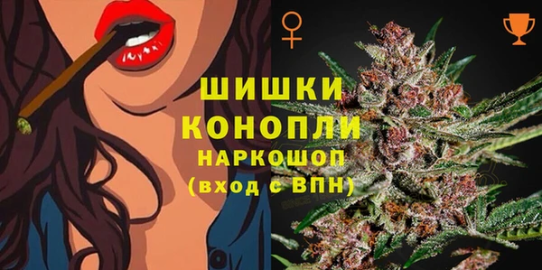 прущий лед Вязьма
