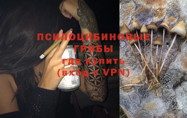 прущий лед Вязьма
