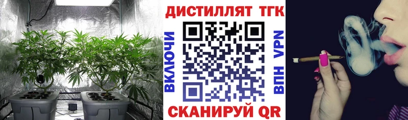 ТГК вейп с тгк  купить закладку  Петровск 